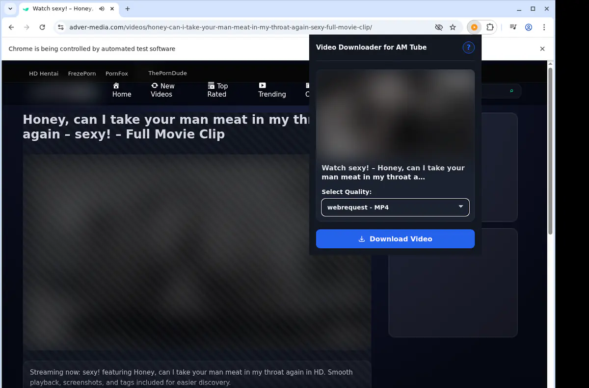 Amtube Video Downloader browser extension screenshot 3